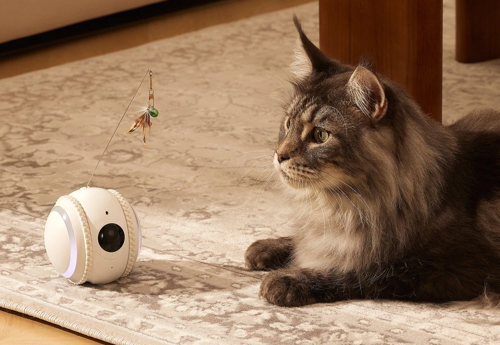 best pet cameras for cats