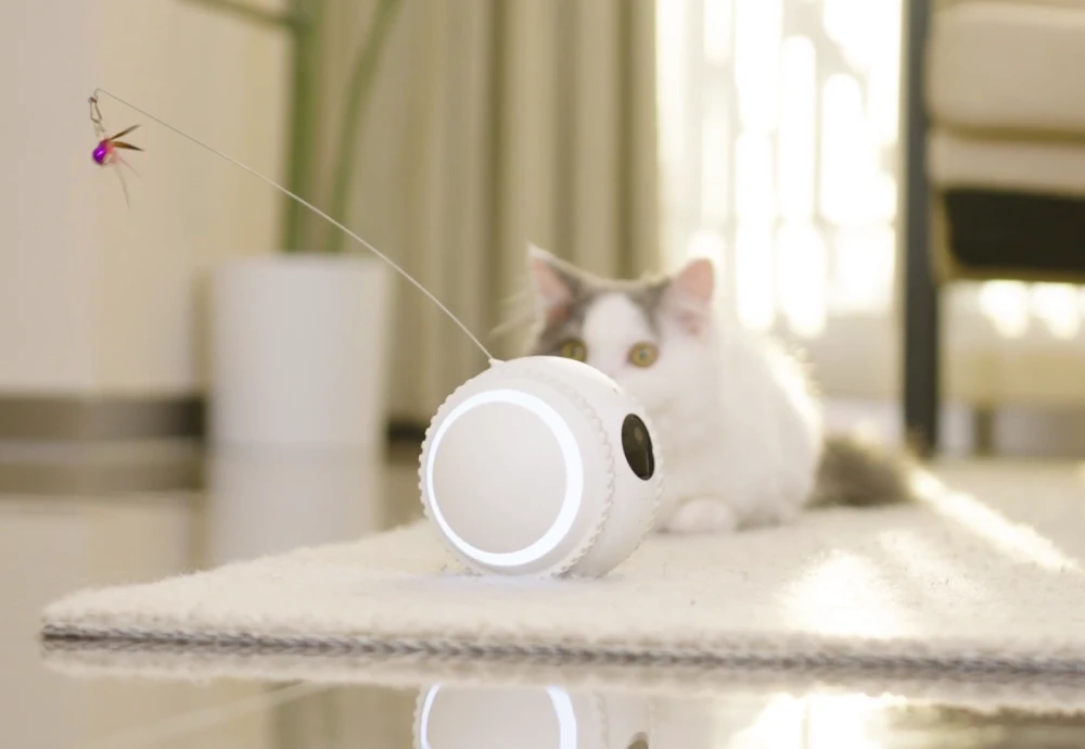 video camera for watching pets