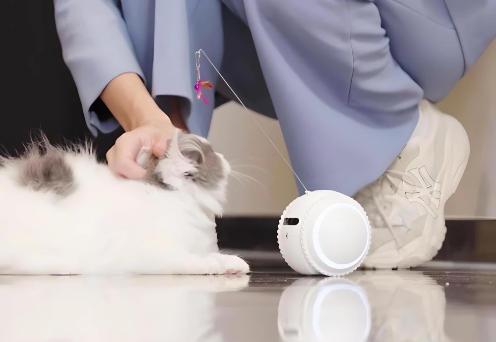 pet camera robot